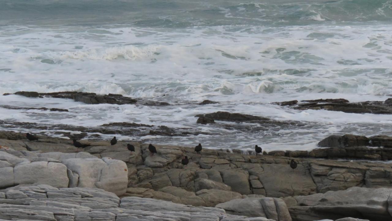 L Agulhas,Main @ 51 Exterior foto